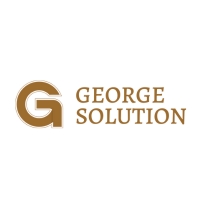 Georgesolution george stones